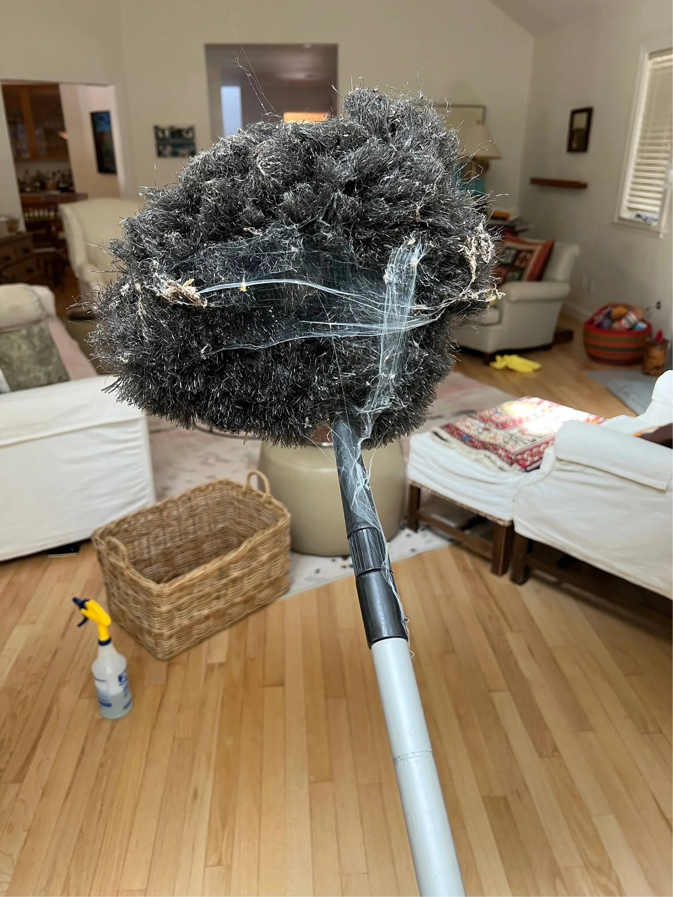 An extendable duster covered in cobwebs, pulled from a high corner of a living room during a deep clean